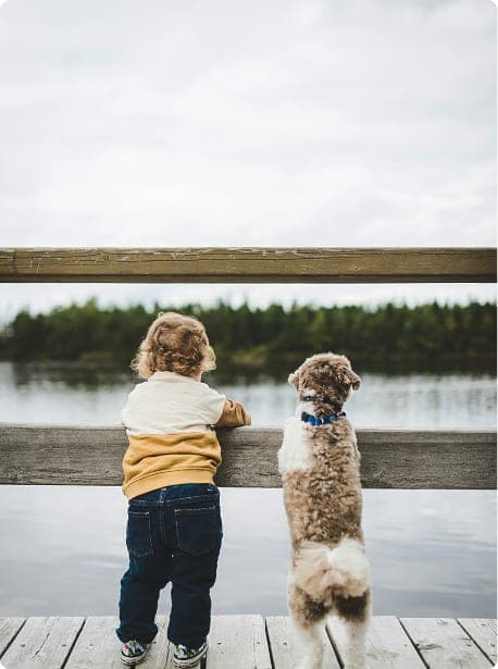 Boy and dog image